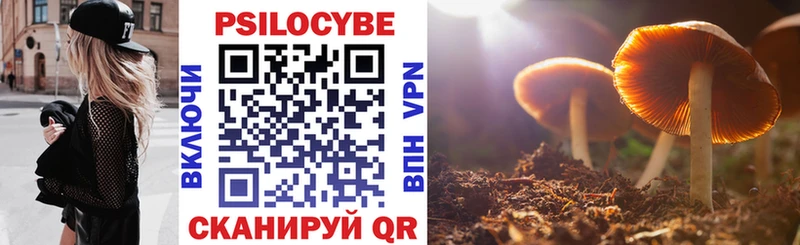 Псилоцибиновые грибы Psilocybe  Ессентукская 